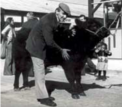 Pablo Edelstein en su actividad como estanciero circa 1944.